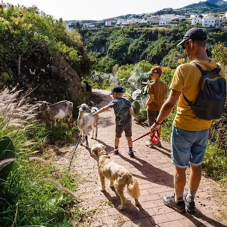 El Drago By Rivero Σπίτι διακοπών Moya (Gran Canaria)
